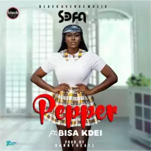 Sefa - Pepper ft. Bisa Kdei (prod. Danny Beatz)